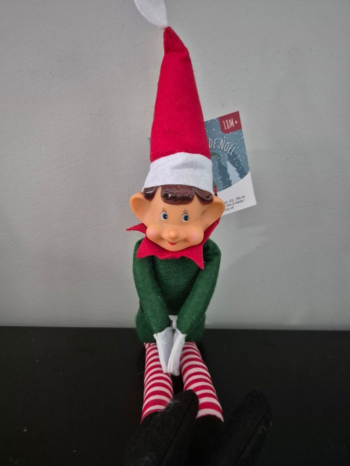 Duo de lutin et lutine farceur - photo numéro 2