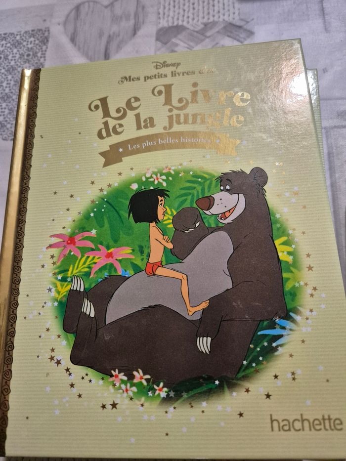 Livre disney - photo numéro 7