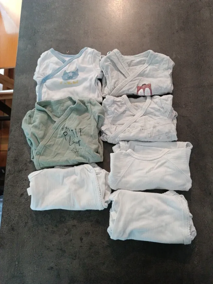 Lot 7 bodies