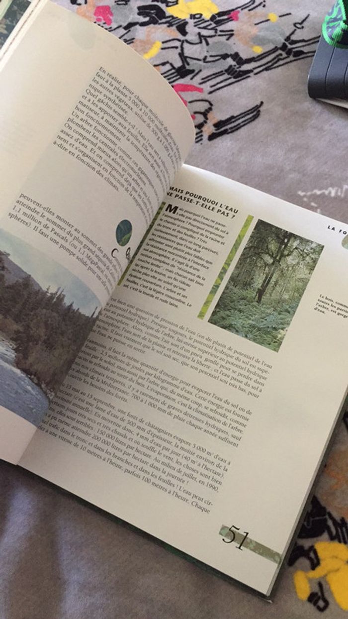 Les Forêts - photo numéro 13
