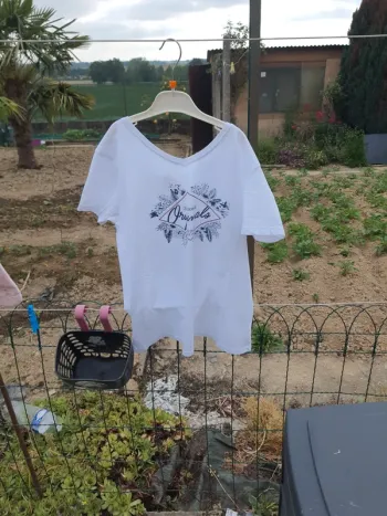 Tee-shirt Lee cooper