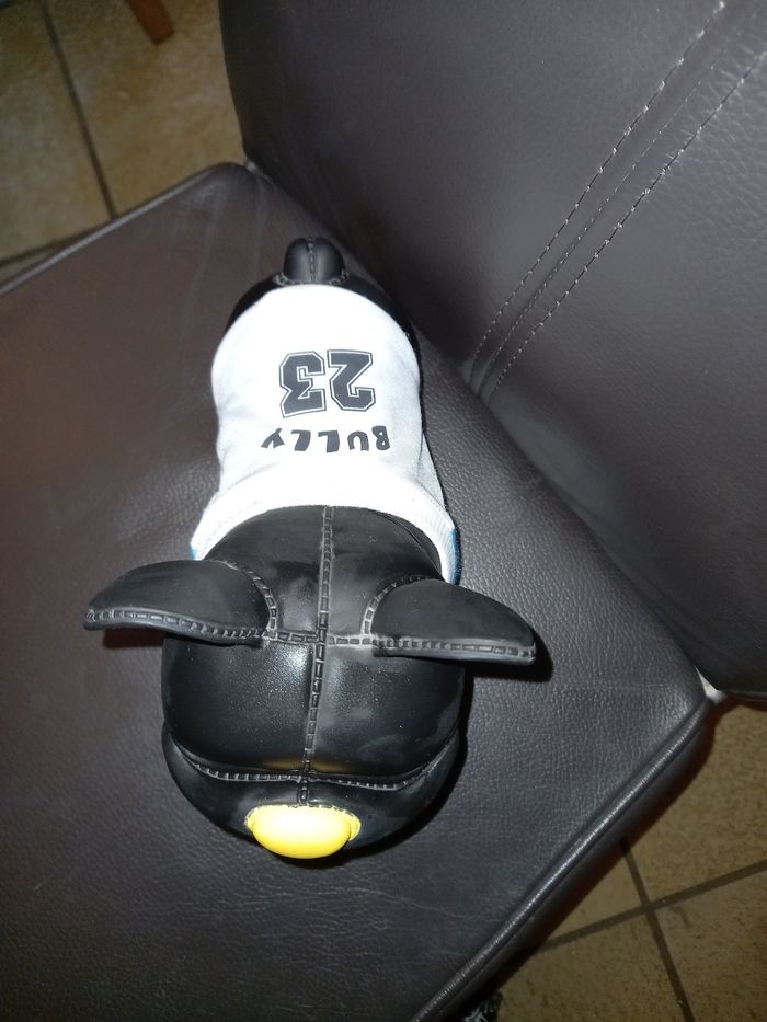 Chien peps bully 23 - photo numéro 4