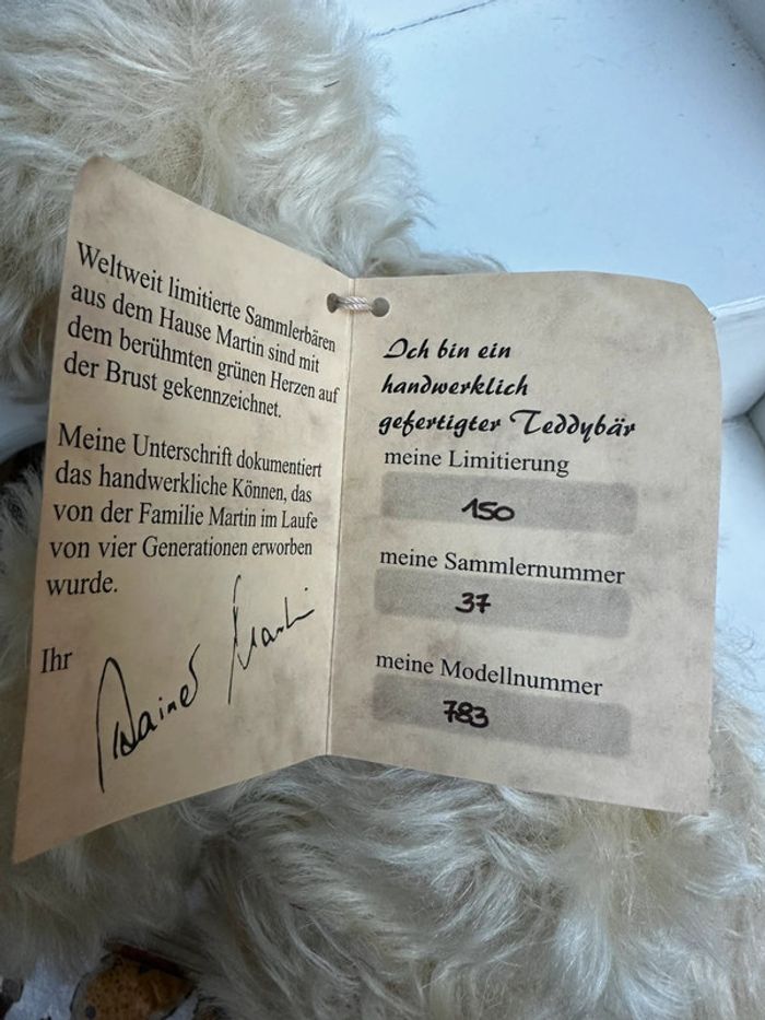 Ours Martin - photo numéro 5