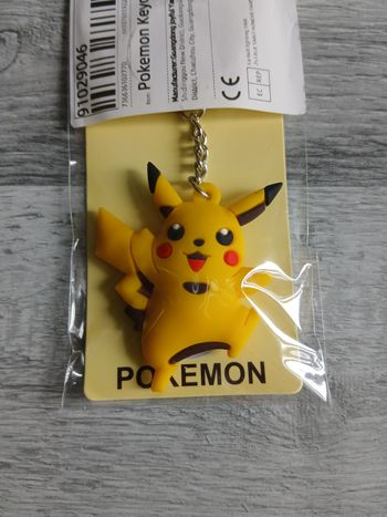 Porte clés pokemon