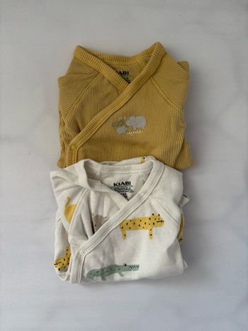 Lot 2 bodies