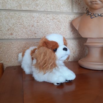 Peluche-doudou Chiot Épagneul Breton