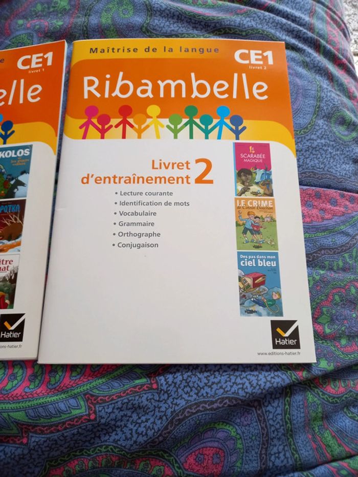 Ribambelle ce1 - photo numéro 3