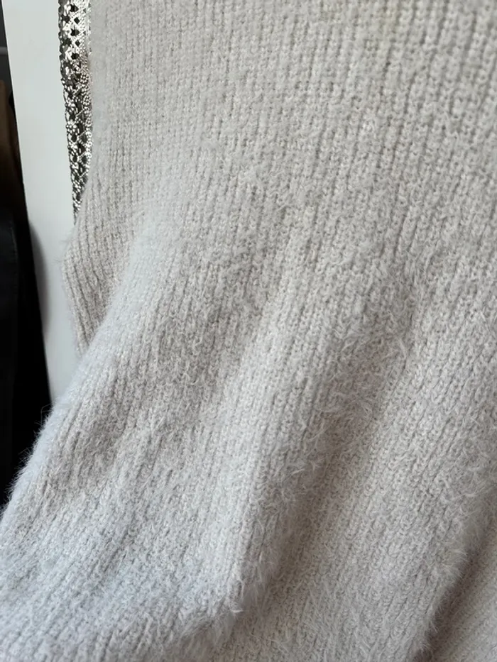 Pull à poils - photo numéro 2