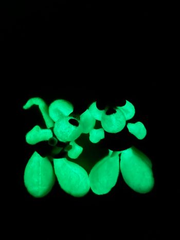 Diddl et Diddlina brille dans le noir