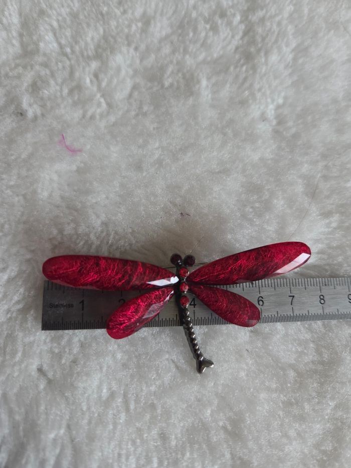 Libellules butineuses multicolores - photo numéro 5