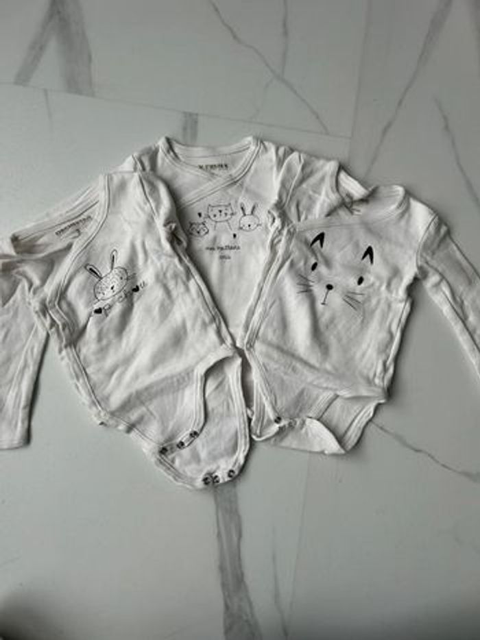 Lot body