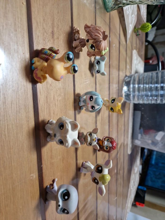 Lot petshop (8) - photo numéro 4