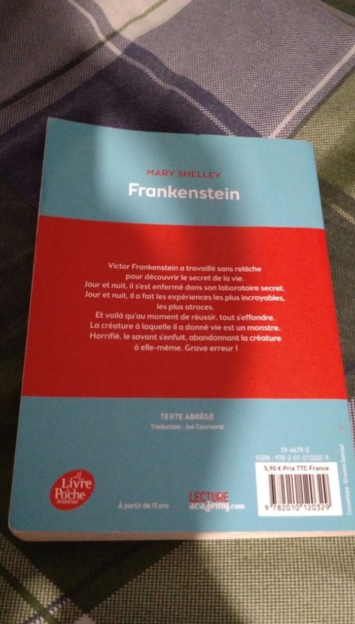 Livre Frankenstein Mary Shelley - photo numéro 3