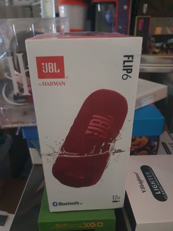 Enceinte flip6