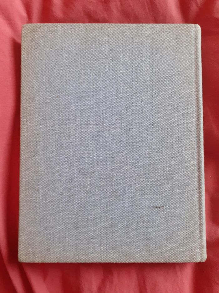 Touraine romane - photo numéro 2