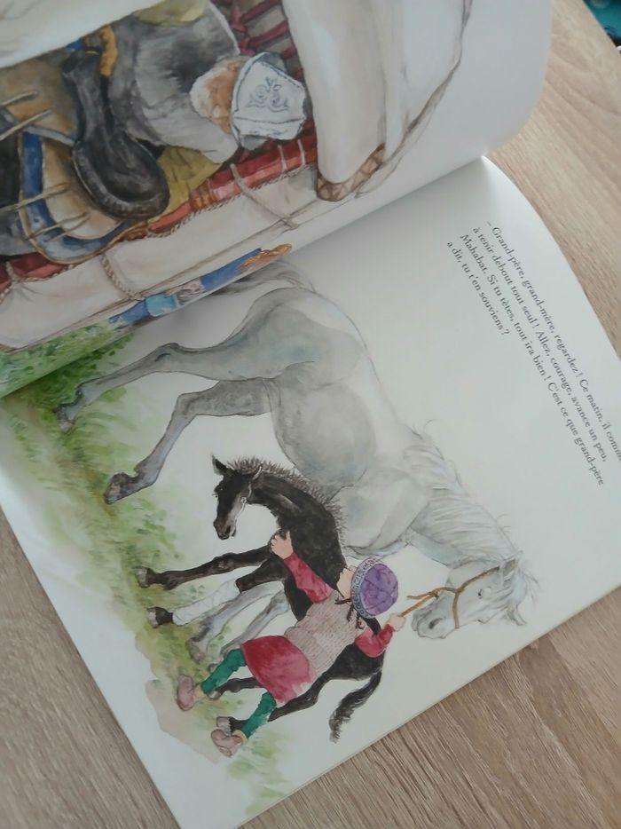 Livre enfant mon petit cheval Mahabat - photo numéro 7