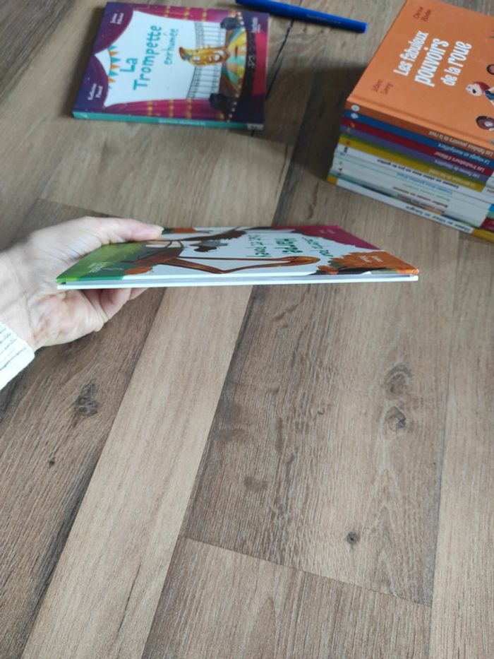 Livre : Concerto pour Harpe, chat et poney - photo numéro 4