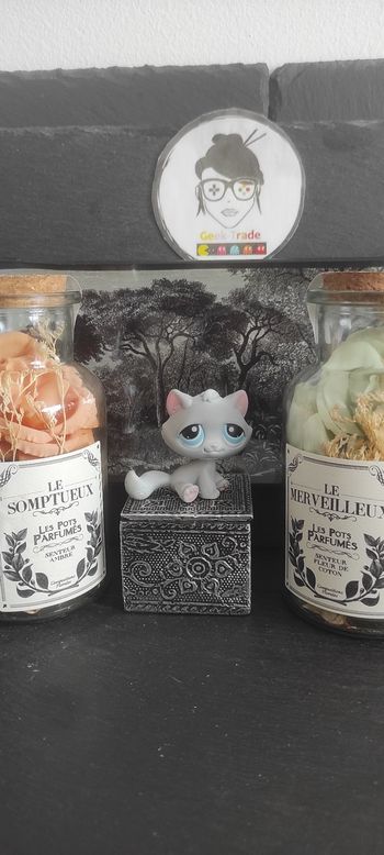 My Littlest Petshop Pet Shop LPS Authentic  Authentique cat Chat Tabby 177 / 53