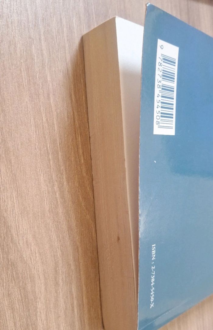 johan turi recit de la vie des lapons edition harmattan pl - photo numéro 6