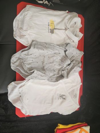 Lot de 3 bodies mc 6mois