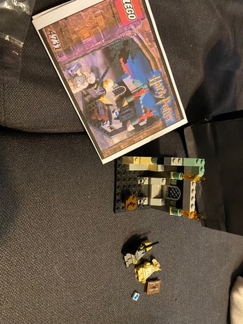 Lego collector 4731 Harry Potter La libération de dobby