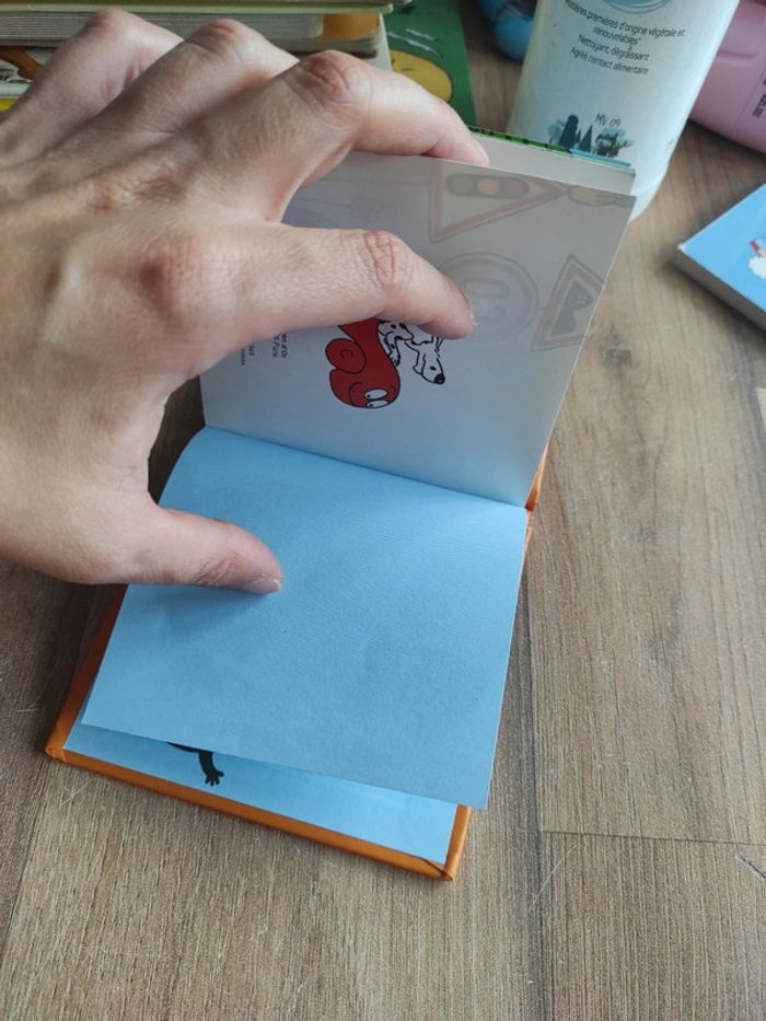 Lot de 2 minis livres Barbapapa - photo numéro 18