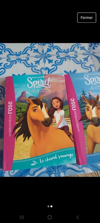 Lot de 2 livres SPIRIT
