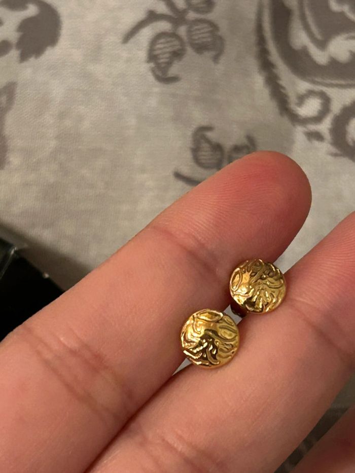 Puces d’oreilles dorée - photo numéro 5