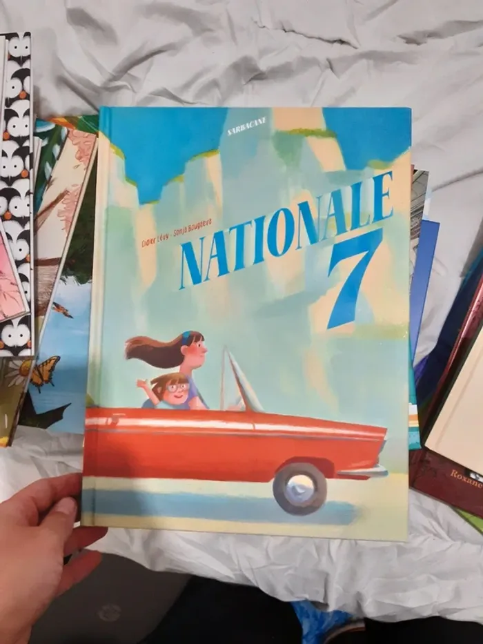 Immense lot de livres jeunesse - photo numéro 20