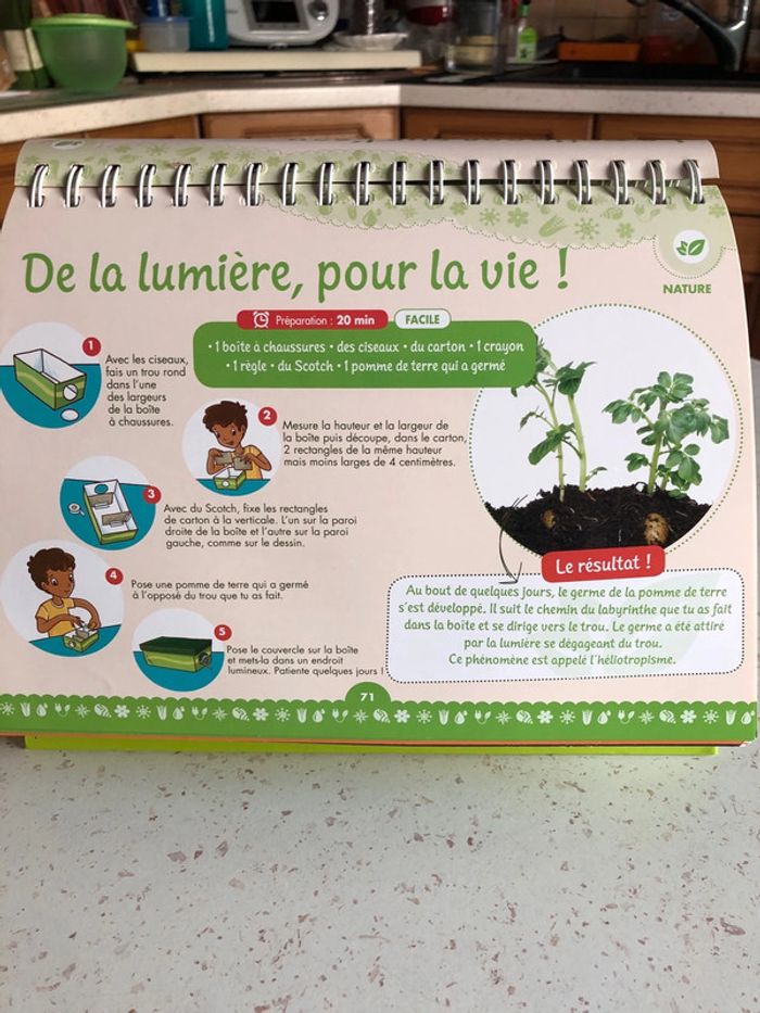 Les activités des p’tits génies - photo numéro 4