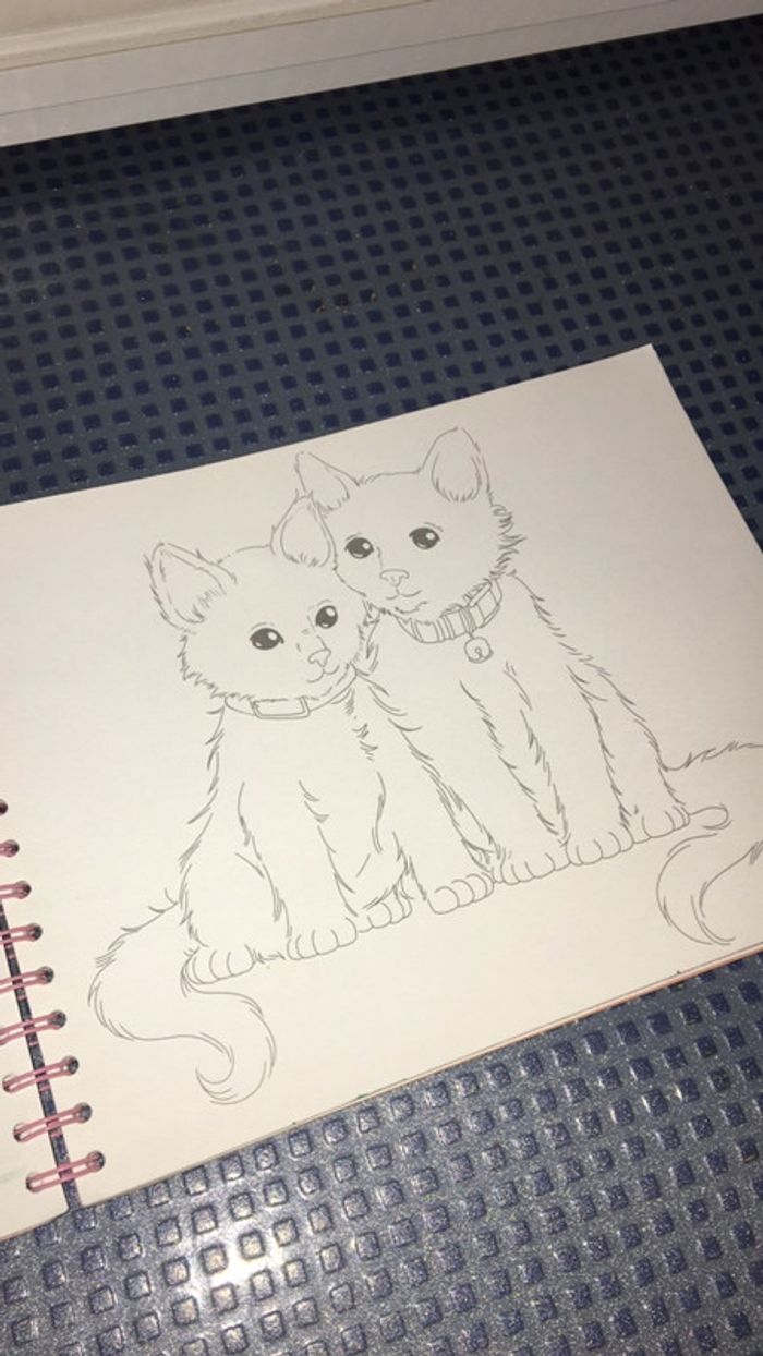 Livre top model animaux - photo numéro 4