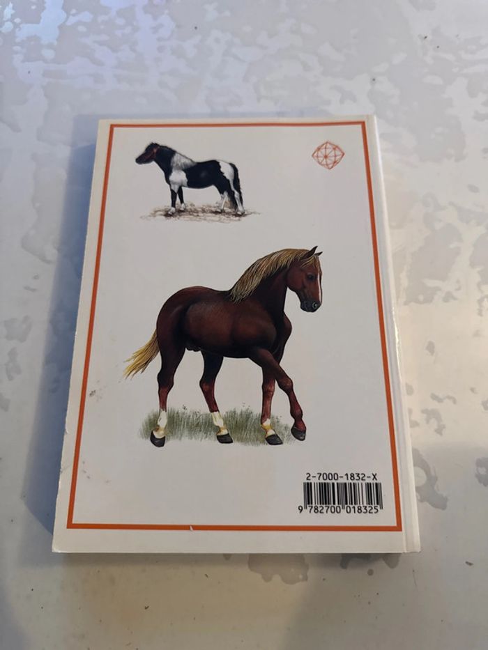Livre chevaux - photo numéro 3