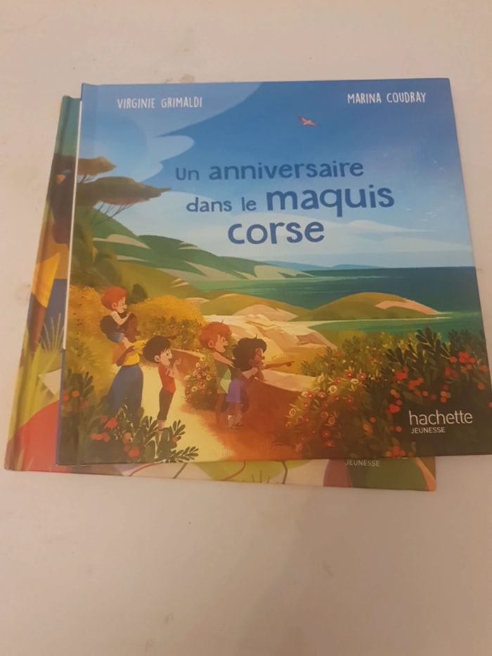 Lot de 6 livres merveille de france - photo numéro 6