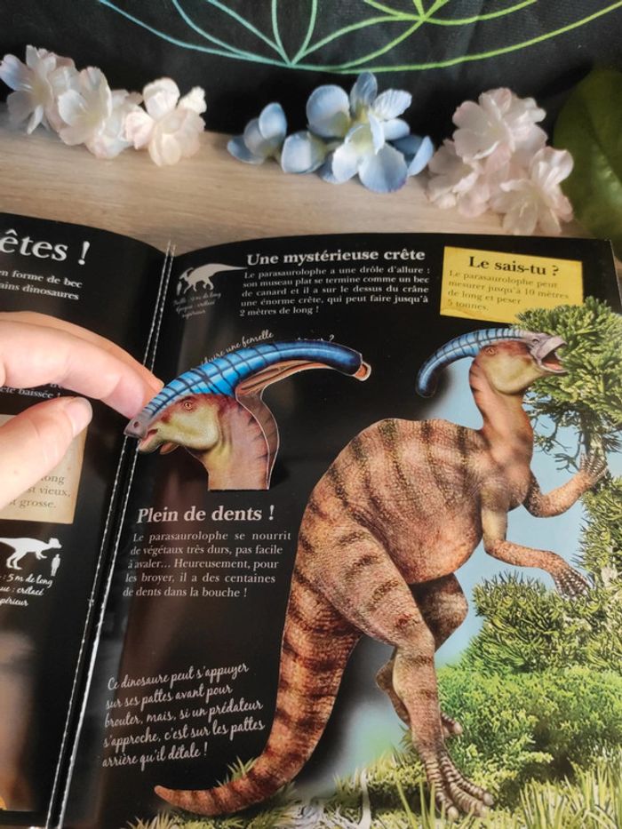 Incroyables dinosaures – L'incroyable encyclopédie – Larousse - photo numéro 17