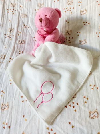 Doudou et compagnie ours  ballon mouchoir