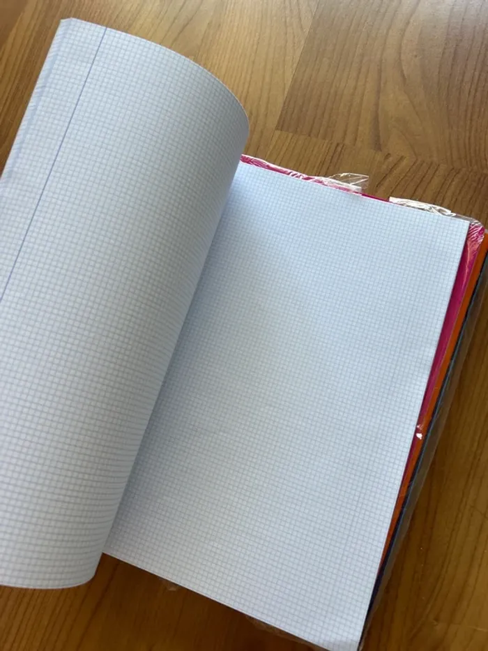 Lot cahier - photo numéro 4