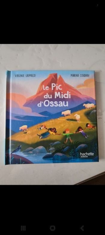 Livre, le pic du midi d'ossau