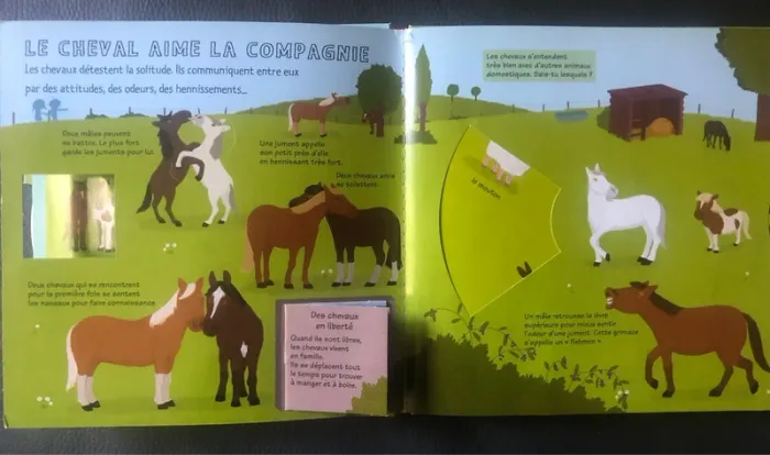 Livre enfant - photo numéro 3