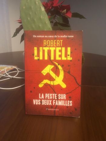 La peste sur vos deux familles - Robert Littell - Un roman au cœur de la mafia russe 