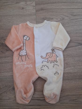 Grenouillère naissance