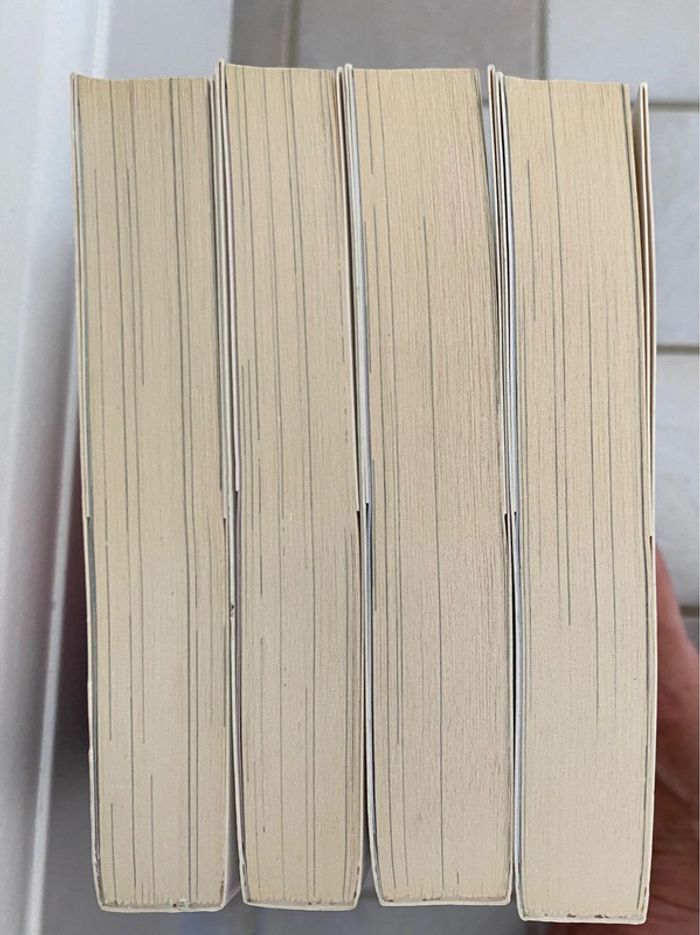 Danmachi La légende des familias tome 1-2-3-4 - photo numéro 6
