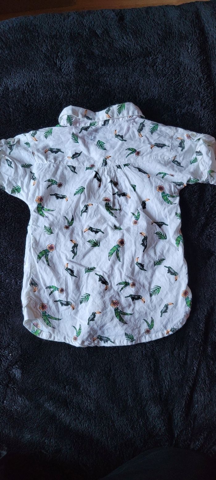 Chemisette - photo numéro 3