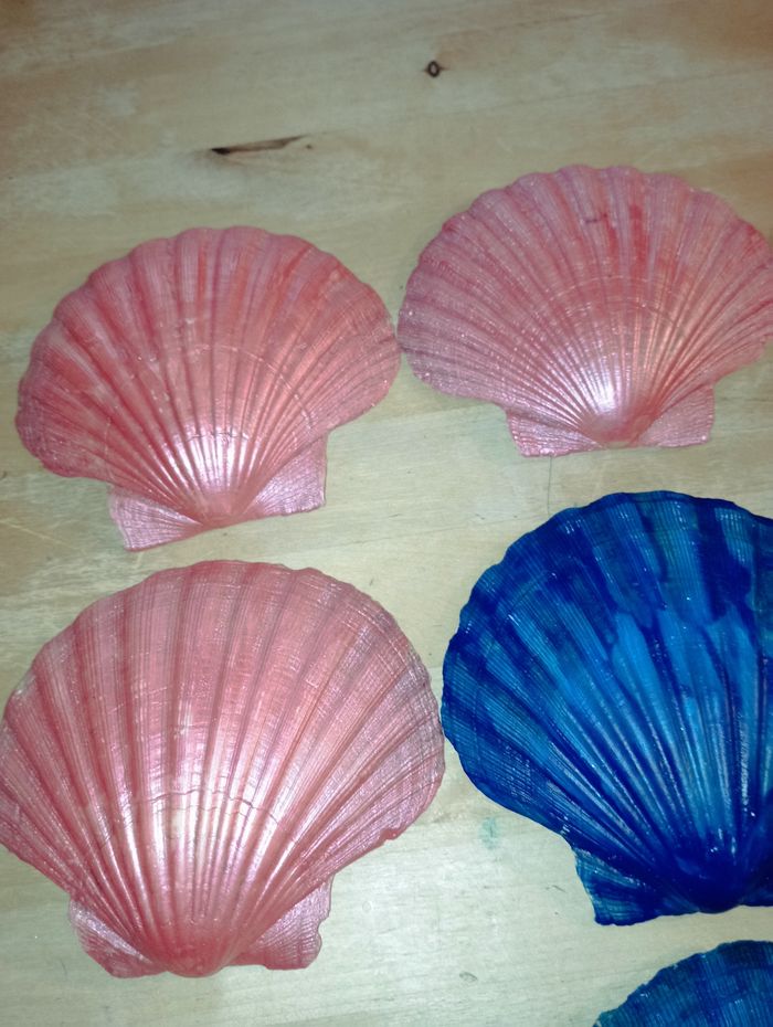 Coquillage de déco - photo numéro 3