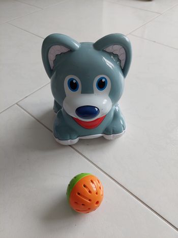 Chien avec sa balle