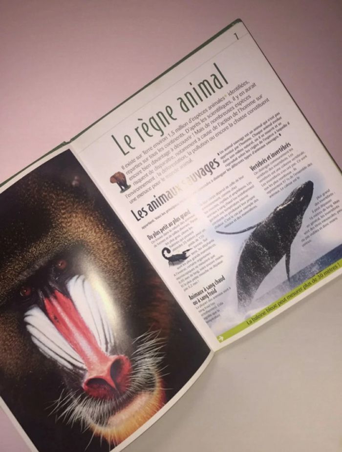 Livre 📖 les animaux sauvages Atlas des junirs 5€ - photo numéro 7