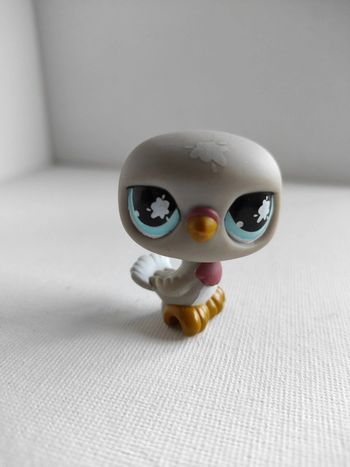 My littlest petshop oiseau pigeon 812 #geektradelpspigeon