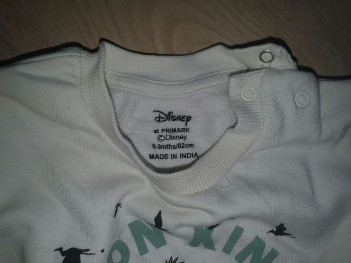 Pull Disney - photo numéro 2