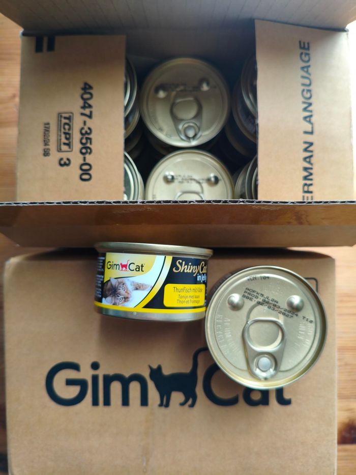 Lot de boîtes pour chat