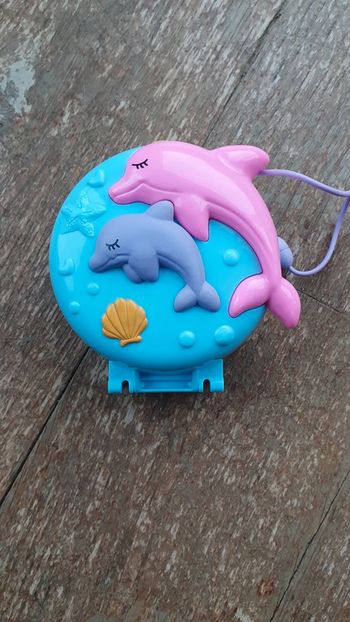 Polly pocket dauphin