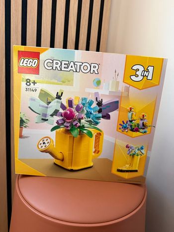 Les Fleurs dans l'arrosoir  LEGO 31149